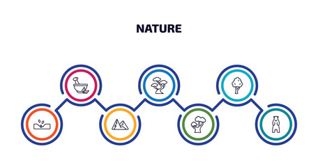 nature infographic element with outline icons and 7 step or option. nature icons such as flower therapy, bonsai tree, black birch tree, sow, snowed mountains, chestnut oak tree, polar vector.