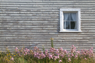 Fototapeta na wymiar Wooden siding and curtained window
