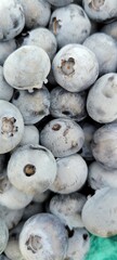 Fresh blueberries in the garden. Blueberry background close up 