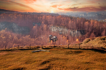 sunrise in the forest