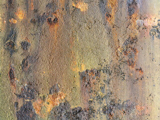 Textures. Cement wall wear on the edge of the sea. Art made by nature. Wear, algae, molluscs, lichens, wind and rain also make art.