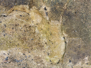 Textures. Cement wall wear on the edge of the sea. Art made by nature. Wear, algae, molluscs, lichens, wind and rain also make art.