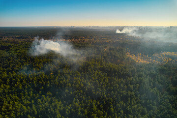 Burning forest with fire and smoke. aerial top view from drone