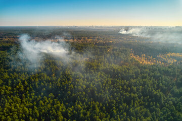 Strong fire in an empty forest. Fire spreads in a united front, strong smoke from the burning place. View from above, vertically from top to bottom.