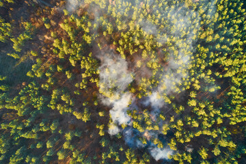 Burning forest with fire and smoke. aerial top view from drone