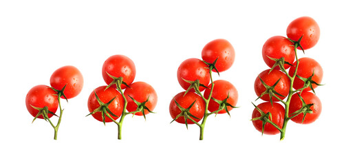 Set of fresh cherry tomatoes isolated on transparent background, png

