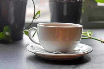 white cup with hot coffee latte on the windowsill with green ivy. horizontal
