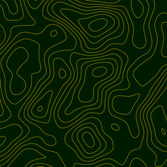 Topographic gold luxury map background. Geographic abstract pattern texture. The topo contour or wallpaper. Mountain trail terrain or path. Vector illustration.