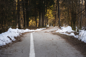 Walking path in winter in the middle of the forest, Ljubljana