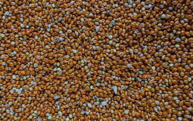 Top view of oat seeds