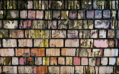 Brick wall texture with traces of mold and erosion