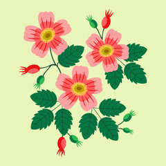 vector wild rose illustration