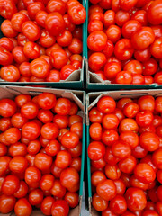 red fresh tomatoes in cardboard boxes on the market counter 