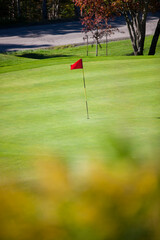 Red flag on green of golf course.