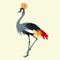 Obraz premium Vector illustration of crowned crane bird