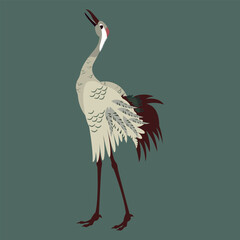 Vector illustration Gray crane bird