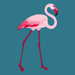 Vector Illustration Bird Bright Pink Flamingo
