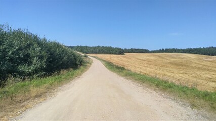 The country road runs along the shrubbery and a harvested field, behind which a mixed forest grows. Grass grows on the sides of the road. It is dusty. Sunny and clear blue skies