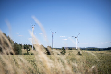 wind turbine in the field