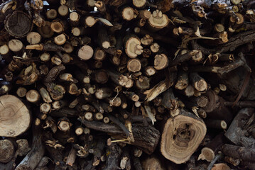 Wooden natural log closeup. Stack of fire wood