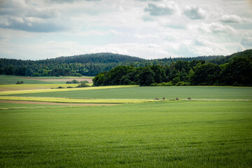 german landscape with horse riders