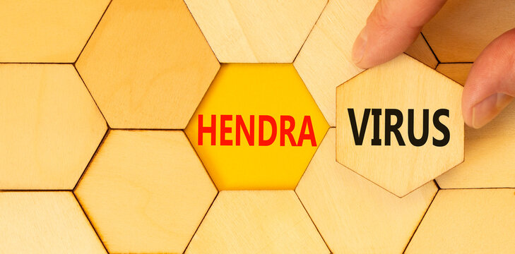Hendra virus symbol. Concept words Hendra virus on wooden puzzles. Beautiful yellow table yellow background. Businessman hand. Medical hendra virus concept. Copy space.