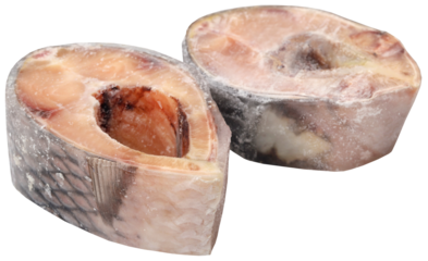 Rohu fish of Indian subcontinent