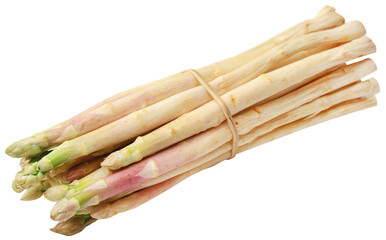 German White Asparagus