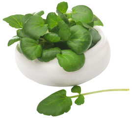 Fresh organic watercress