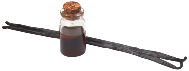 Vanilla pods with essence in a bottle