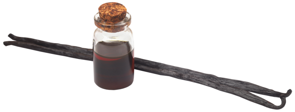 Vanilla pods with essence in a bottle
