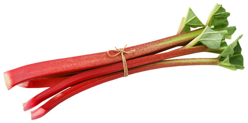 Fresh rhubarb - 575455813