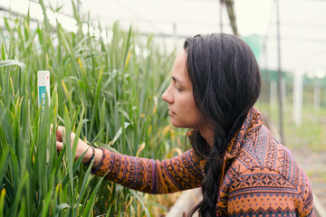 Female  native american research assistant on the field in a greenhouse