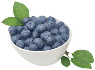 Fresh blueberries
