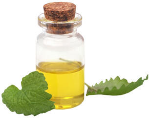Lemon balm leaves with extracted essential oil 