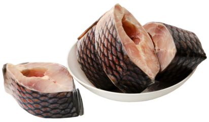 Rohu fish of Indian subcontinent