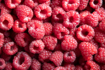 natural fruit background of fresh raspberries top view, texture of berries