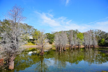 A beautiful community pond  and fountain
