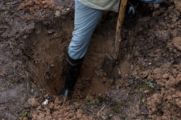 A deep hole for planting young fruit trees, being dug by a mans leg in a boot and a shovel on a wintry day. Ideal for agricultural, winter, and outdoor projects