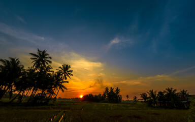 Rural sunset landscape with palm trees in silhouette
