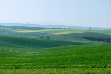 Landscape of a green and yellow field on a sunny day. Fresh air in the mountains. Bird's eye view.