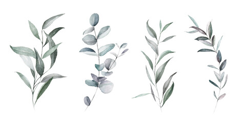 Watercolor floral bouquet branches collection elements set with green pink blush leaves, for wedding invitations, stationery, greetings, wallpapers, fashion, prints. Eucalyptus, olive green leaves. © Veris Studio