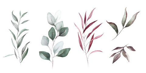 Watercolor floral bouquet branches collection elements set with green pink blush leaves, for wedding invitations, stationery, greetings, wallpapers, fashion, prints. Eucalyptus, olive green leaves.