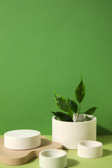 Plaster podiums and ficus branches on green background