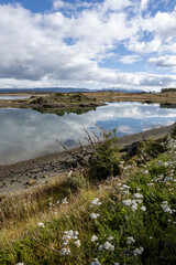 Landscape at the beautiful end of the world - Ushuaia, Tierra del Fuego, South America