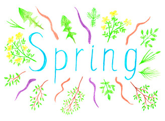 Illustration of spring word decorated with plants, flowers and branches hand drawn with colored pencils isolated on white background