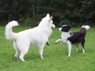 K&uuml;ss die Hand, sch&ouml;ne Frau