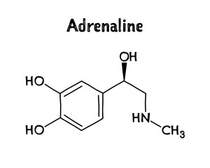 Adrenaline molecular structure. Adrenaline, or epinephrine, is a hormone and medication regulating visceral functions. .Vector structural formula of chemical compound. Black pen Hand-drawn style.