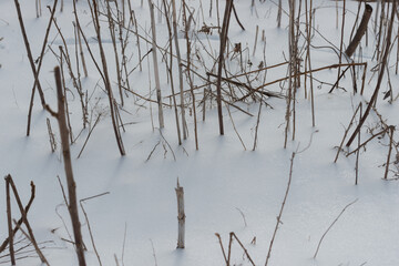 field scene with snow