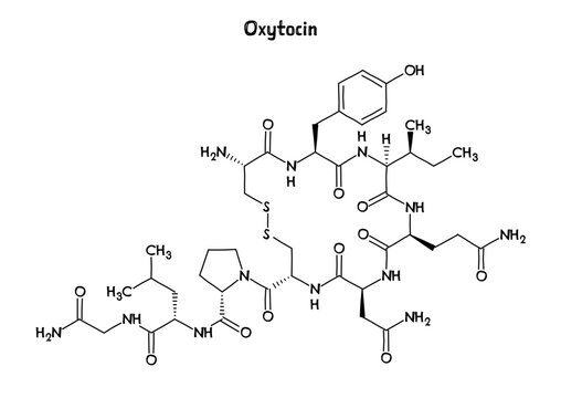 Oxytocin molecular structure. Oxytocin, the hormone of love, produced in the hypothalamus. Important role in reproduction, childbirth and social bonding. .Vector structural formula of chemical